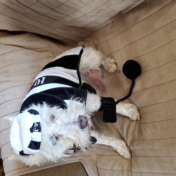 🌞SALE 3/$30🌞 Dog Prisoner Costume M/L - Picture 5 of 5